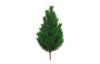 Sapin « Nisse », env. L 45 cm