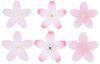 Fleurs en papier