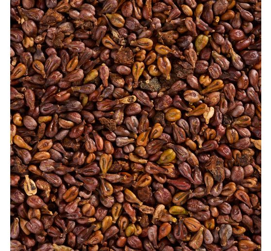 Pépins de raisin