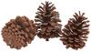 Pommes de pin VBS, 3 pc.