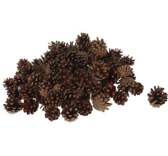 Pine cone