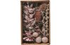 Set pot-pourri fleurs séchées « Pearl Pink » 