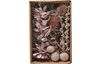 Dried flowers potpourri set "Pearl Pink"