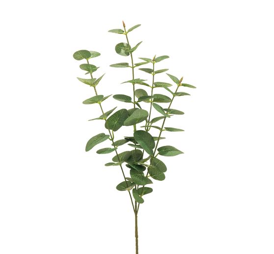 Branche d'eucalyptus « Jewel » 