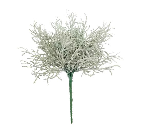 Bouquet de santoline argentée « Santolina » 