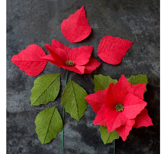 Papier crépon de fleuriste Lia Griffith « Winter Garden »