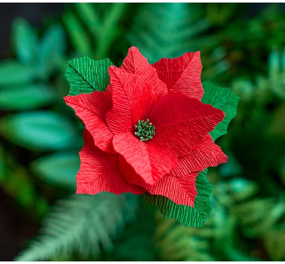 Papier crépon de fleuriste Lia Griffith « Winter Garden »