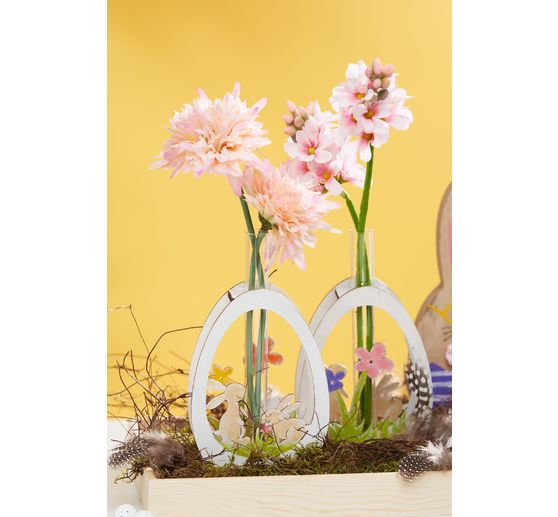 Scabiosa single stem