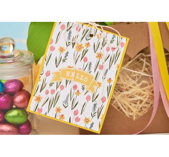 Cartes doubles avec enveloppes « Couleurs vives »,50 pc.