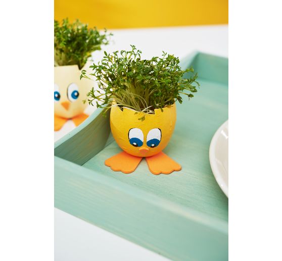 Coquilles d'œuf en papier mâché, étanches