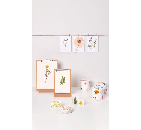 Set fleurs pressées Rico Design « Orange Turquoise »