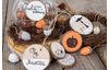 Tampons Clear Stamps « Lueurs automnales »
