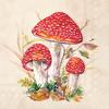 Serviette « Amanites tue-mouches »