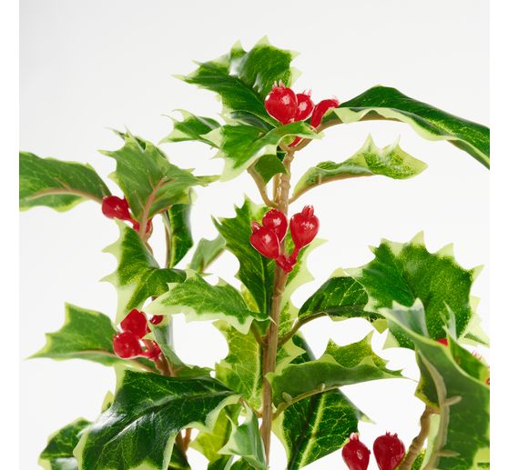 Branche de houx avec baies, 40 cm