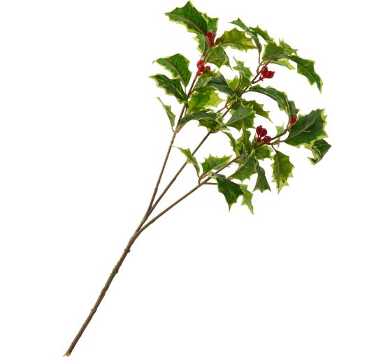 Branche de houx avec baies, 40 cm