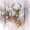 Serviette « Animaux sauvages en hiver »