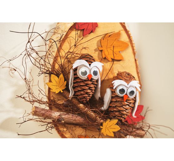 Branches de bouleau, 20 pc.