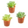 Pots de fleurs miniatures, 2,3 cm