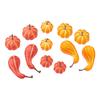 Citrouilles miniatures