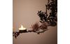 Set de fleurs séchées « Lilac »