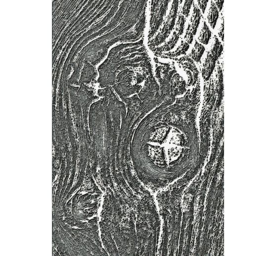 Gabarit d’embossage 3D Sizzix « Woodgrain by Tim Holtz »
