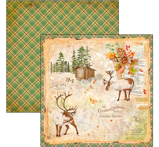 Papier scrapbooking « Into the Wild »