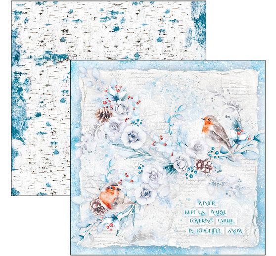 Papier scrapbooking « Winter Journey »