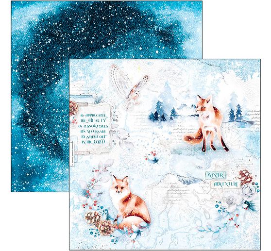 Papier scrapbooking « Winter Journey »
