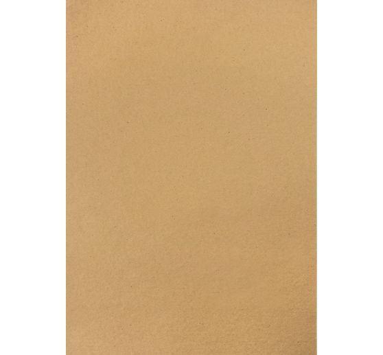 Papier cartonné vintage « Branchages d’hiver »