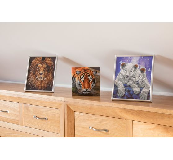 Diamond Painting « Crystal Art Card »