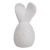 Moule en silicone forme complète « Petit lapin »
