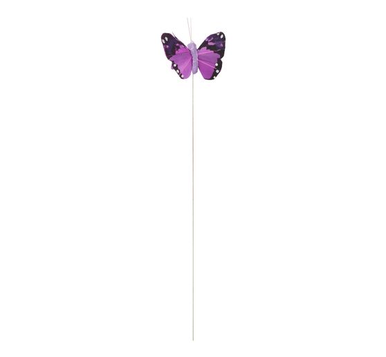 Butterfly "Brasil"