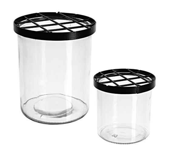 Glass vase with plug grid