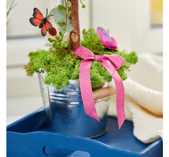 Branches de bouleau, 20 pc.