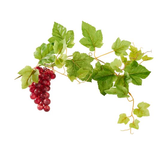 Guirlande de feuilles de vigne et grappe de raisin