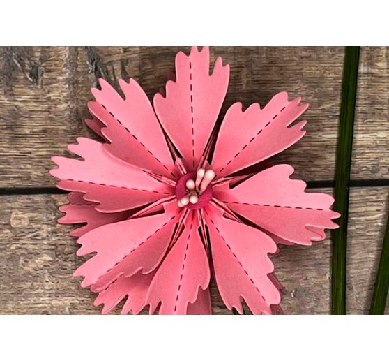Gabarit de découpe pour fleurs à plier « Cosmea »