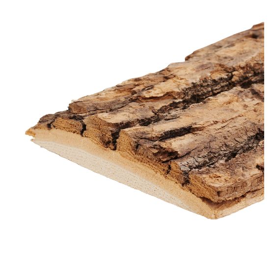 Planche de chêne non délignée déco
