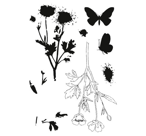 Gabarit d’estampe Sizzix Framelits et tampons Clear Stamps « Painted Pencil Botanical »