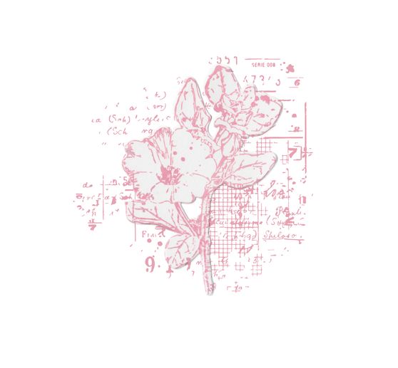 Gabarit d’estampe Sizzix Framelits et tampon Clear Stamps « Floral Mix Cluster »