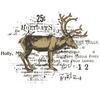 Sizzix Punching template and Clear Stamps "Reindeer Mix Cluster by 49 and Market"