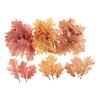 Feuilles mortes