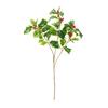 Branche de houx « Green » et baies, L 40 cm