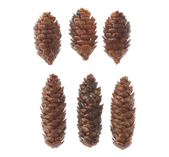 Pommes de pin déco, plastique, 6 pc.