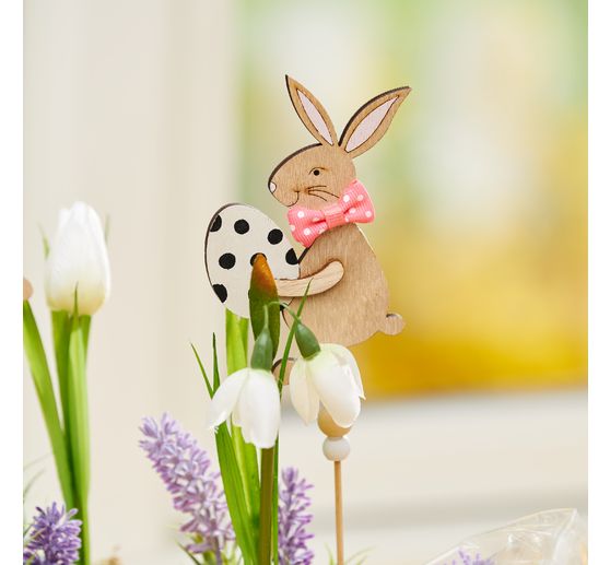 VBS Rabbit plug