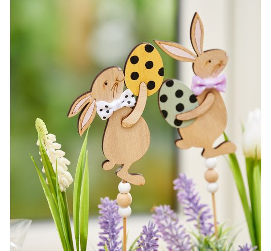 VBS Rabbit plug