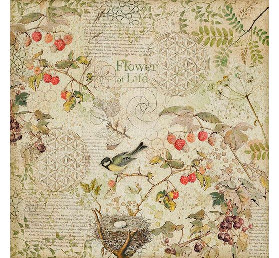 Maxi bloc de papier scrapbooking « Forest »