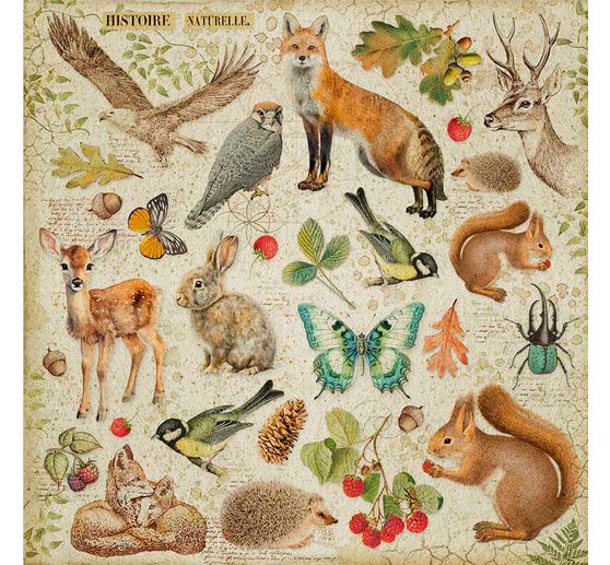 Maxi bloc de papier scrapbooking « Forest »