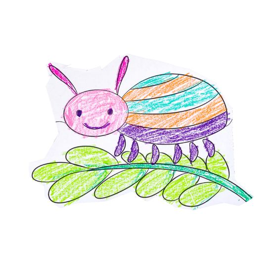 Crayons de couleur Noris junior