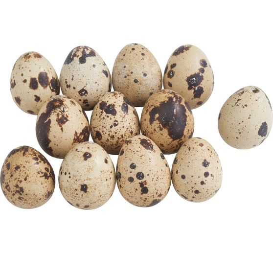 Œufs de caille, naturels