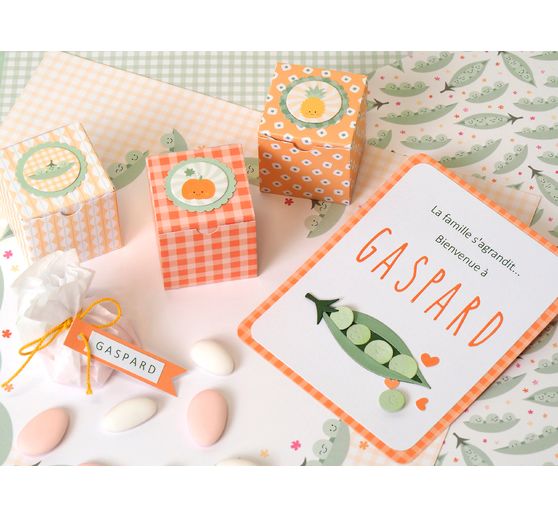 Bloc de scrapbooking "Vitamine"